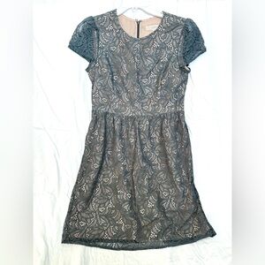 Loft Elegant Lace Dress in Gray